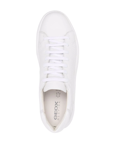 Shop Geox Velletri Low-top Sneakers In White