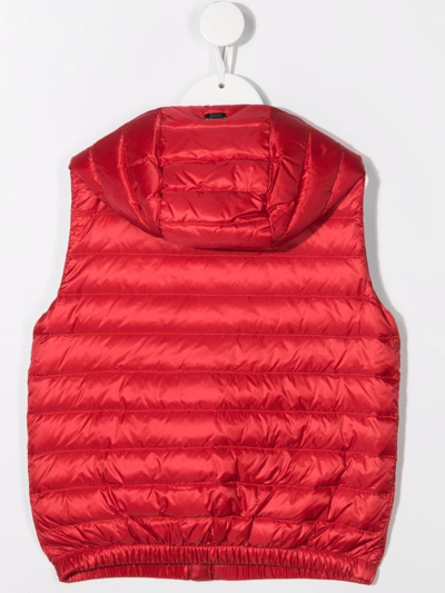 Herno Padded Down Hoodie Gilet In Red
