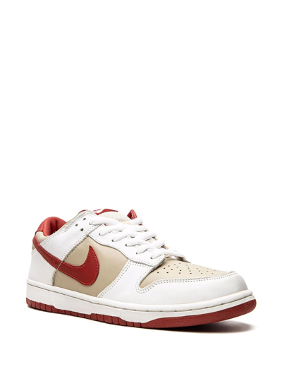 Nike Dunk Low Pro Sneakers In Grey