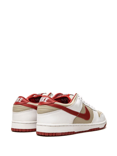 Nike Dunk Low Pro Sneakers In Grey