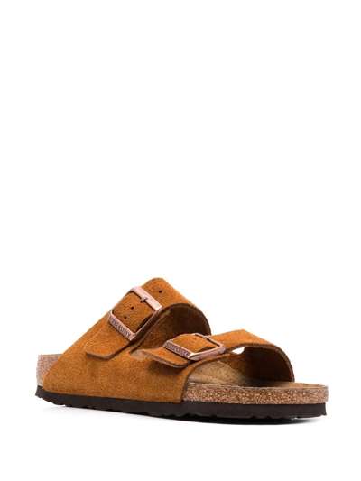 Birkenstock Arizona Buckle-fastened Sandals In Brown