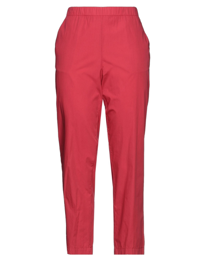 Shop Kiltie Woman Pants Red Size 6 Cotton