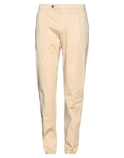 Shop Siviglia Man Pants Beige Size 31 Cotton, Elastane