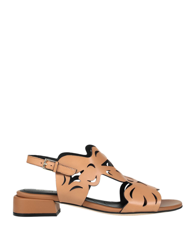 Shop Bruno Premi Woman Sandals Tan Size 8 Bovine Leather In Brown