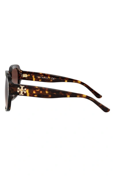 Shop Tory Burch 56mm Round Sunglasses In Dark Tort/ Light Brown Grad