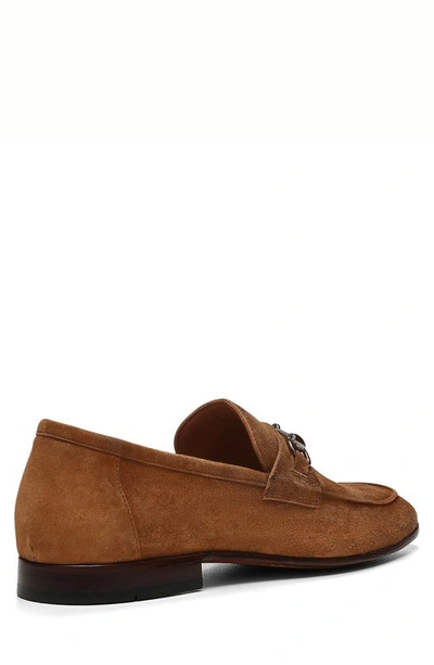 Shop Donald Pliner Bit Loafer In Tobacco