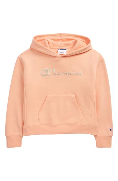 Champion sweater 2025 peach kid