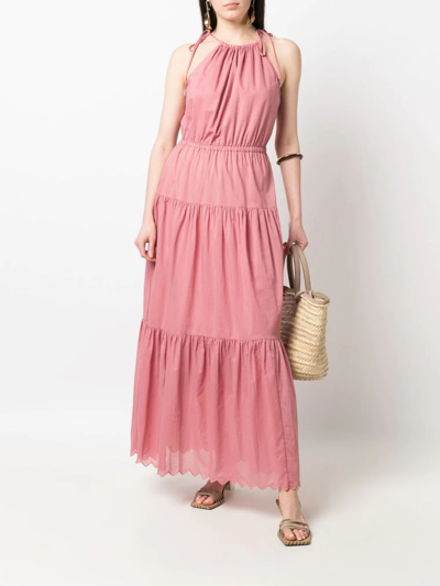 Shop Michael Michael Kors Tiered Cotton Lawn Halterneck Dress In Pink