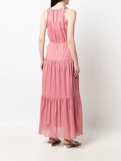 Shop Michael Michael Kors Tiered Cotton Lawn Halterneck Dress In Pink