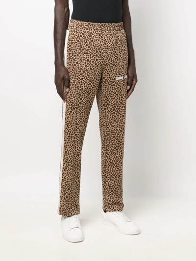 Shop Palm Angels Leopard Print Track Pants In Neutrals