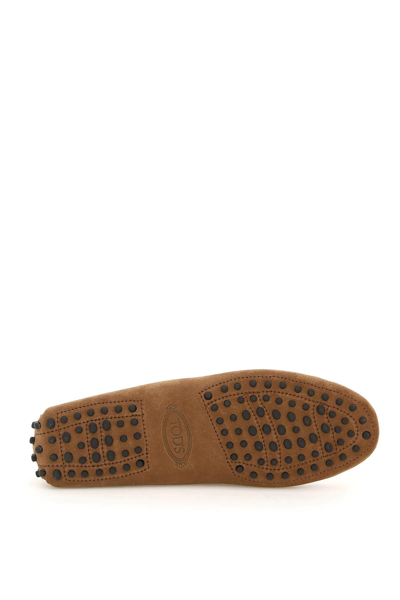 Shop Tod's Suede Leather Gommino Loafers In Brown