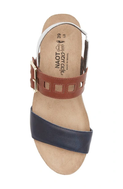 Shop Naot Dynasty Wedge Sandal In Ink/ Soft Chestnut/ White