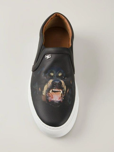 Shop Givenchy Rottweiler Sneakers