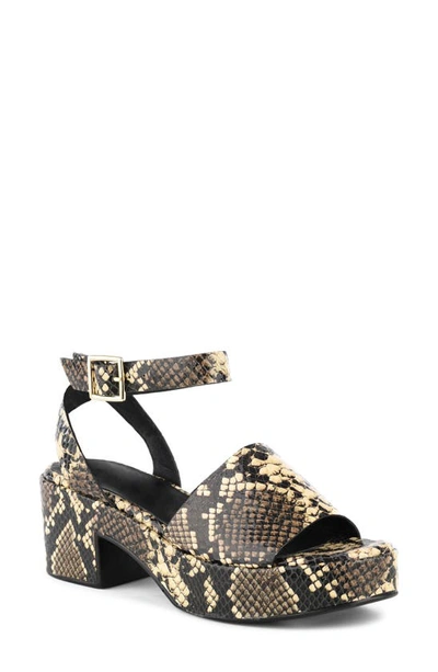 Seychelles calming hot sale influence sandal