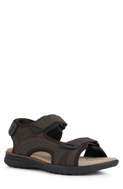 Shop Geox Spherica Sandal In Coffee