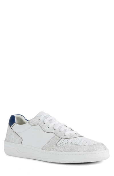 Shop Geox Magnete Sneaker In White/ Blue