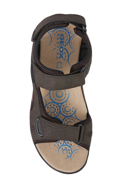 Shop Geox Spherica Sandal In Coffee