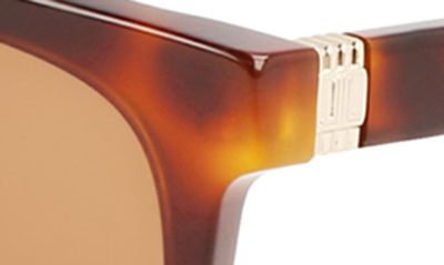 Shop Lanvin 54mm Rectangular Sunglasses In Havana