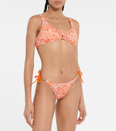 Shop Heidi Klein Cote D'azur Printed Bikini Top In Orange Leaf Print