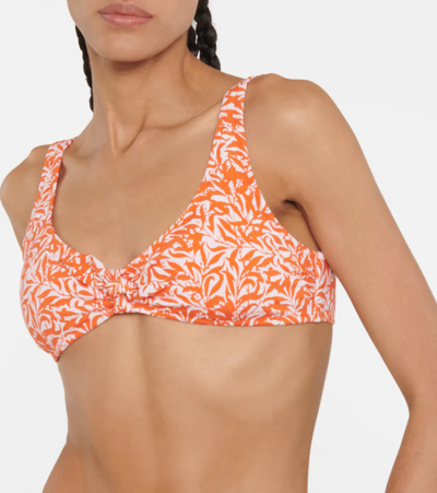 Heidi Klein Côte D'azur Printed Recycled Polyamide-blend Bikini Top In Orange Leaf Print