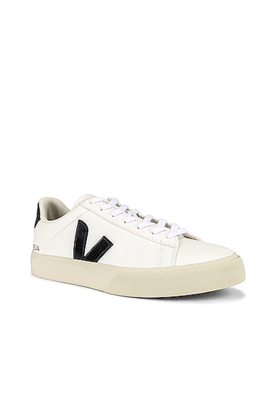 Veja Low Top Sneakers With Contrast Heel Tab In Animal Print