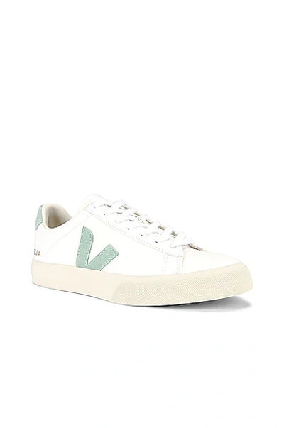Veja Campo Sneaker In White
