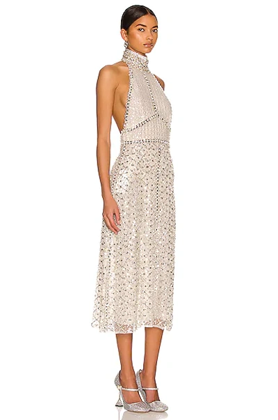 Shop Miu Miu Halter Embellished Dress In Bianco