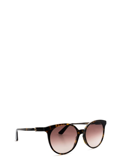 Shop Gucci Gg0488s Dark Havana Female Sunglasses