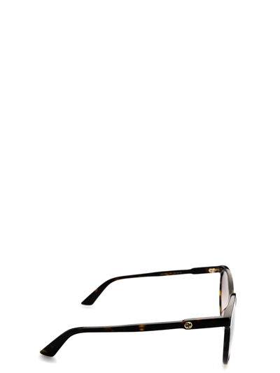 Shop Gucci Gg0488s Dark Havana Female Sunglasses