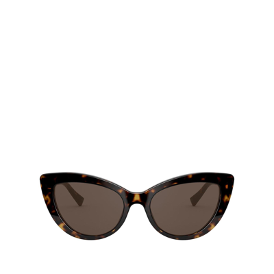 Shop Versace Ve4388 Havana Female Sunglasses