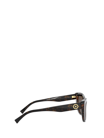 Shop Versace Ve4388 Havana Female Sunglasses