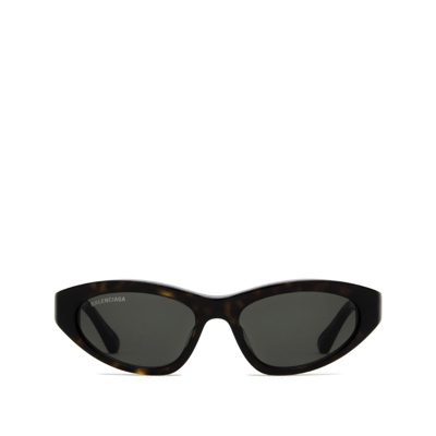 Shop Balenciaga Bb0207s Havana Female Sunglasses