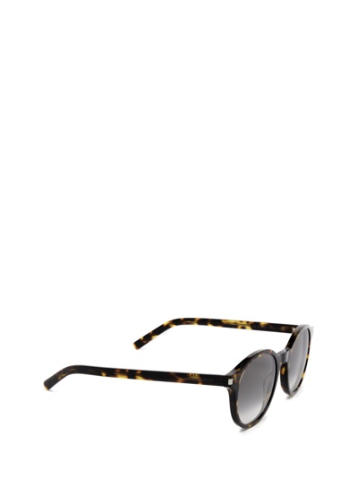 Shop Saint Laurent Unisex  Sl 521 Havana Un