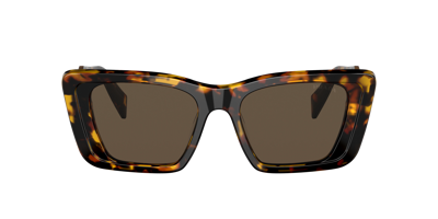 Prada Womens Pr 08ys Butterfly-frame Acetate Sunglasses In Dark Brown