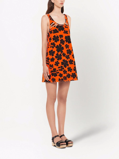 Shop Miu Miu Floral-print Drill Mini Dress In Orange