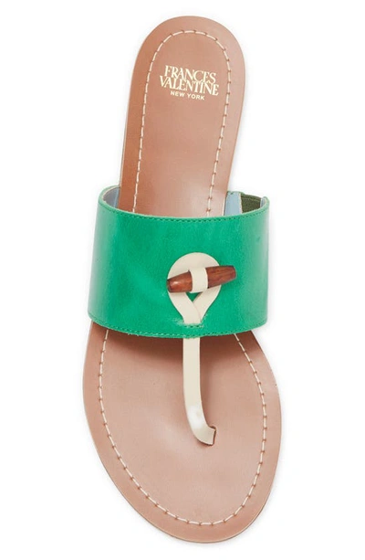 Shop Frances Valentine T-strap Sandal In Green Oyster