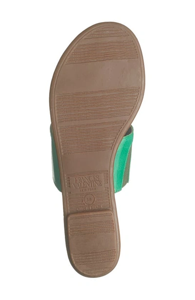 Shop Frances Valentine T-strap Sandal In Green Oyster