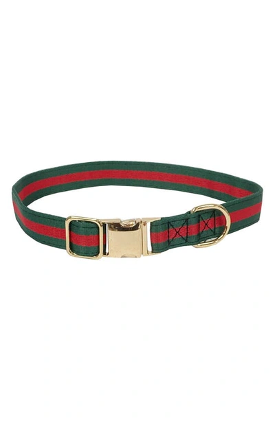 Shop Dogs Of Glamour Stefano Luxury Collar In Green/red