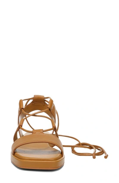 Vince Rockwell Leather Gladiator Sandals In Tan | ModeSens