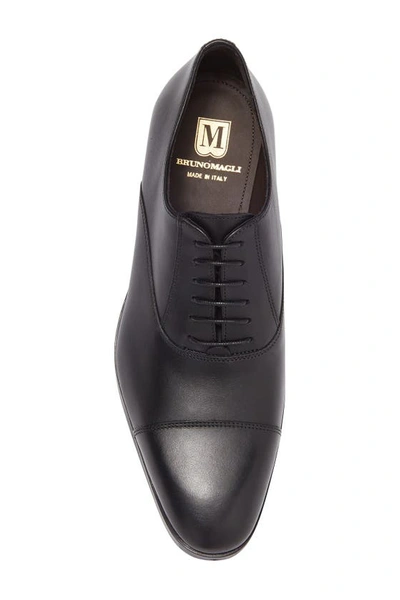 Shop Bruno Magli Caymen Oxford In Black Calf