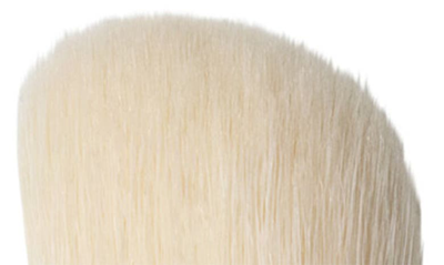 Mac Cosmetics Mac 168s Synthetic Large Angled Contour Brush