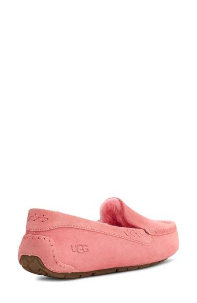 Shop Ugg Ansley Water Resistant Slipper In Pink Blossom