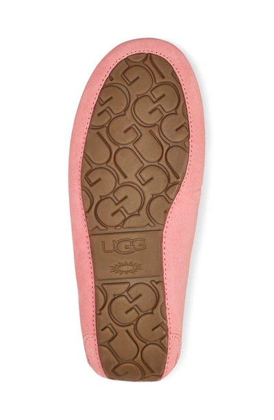 Shop Ugg Ansley Water Resistant Slipper In Pink Blossom