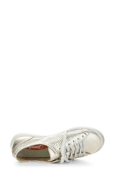 Softinos By Fly London Ica Sneaker In 042 Champagne
