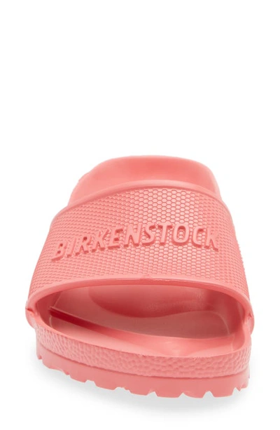 Shop Birkenstock Barbados Slide Sandal In Watermelon