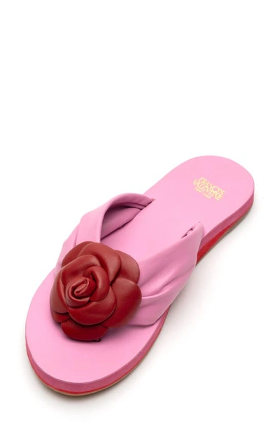 Shop Frances Valentine Magnolia Thong Sandal In Pink/red