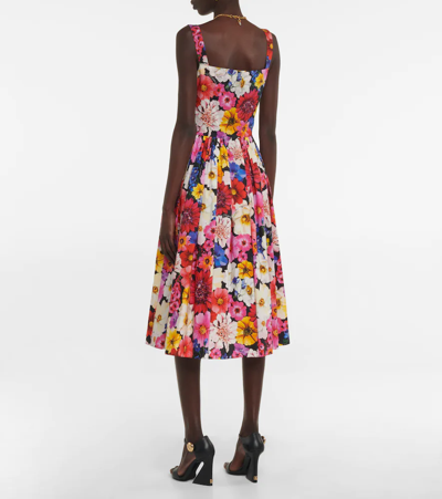 Shop Dolce & Gabbana Floral Cotton Poplin Midi Dress In Giardino Fdo.nero