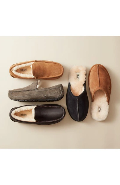 Shop Ugg ® Ascot Leather Slipper In Grey