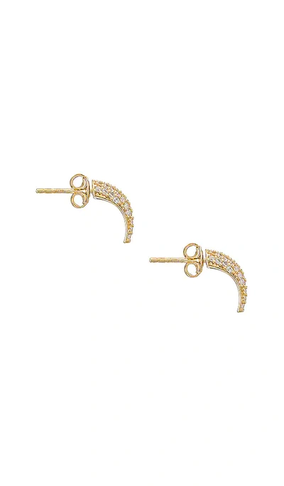 Shop Adinas Jewels Mini Pave Tusk Stud Earring In Gold