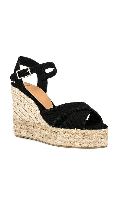 Shop Castaã±er Blaudell Wedge In Black